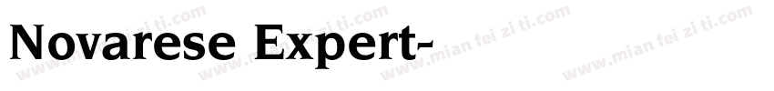 Novarese Expert字体转换